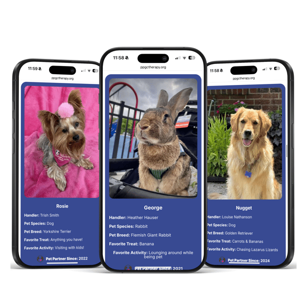 Website users can view "Our Pets" to read the therapy pet profiles