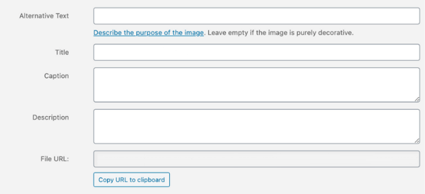 Wordpress image detail fields