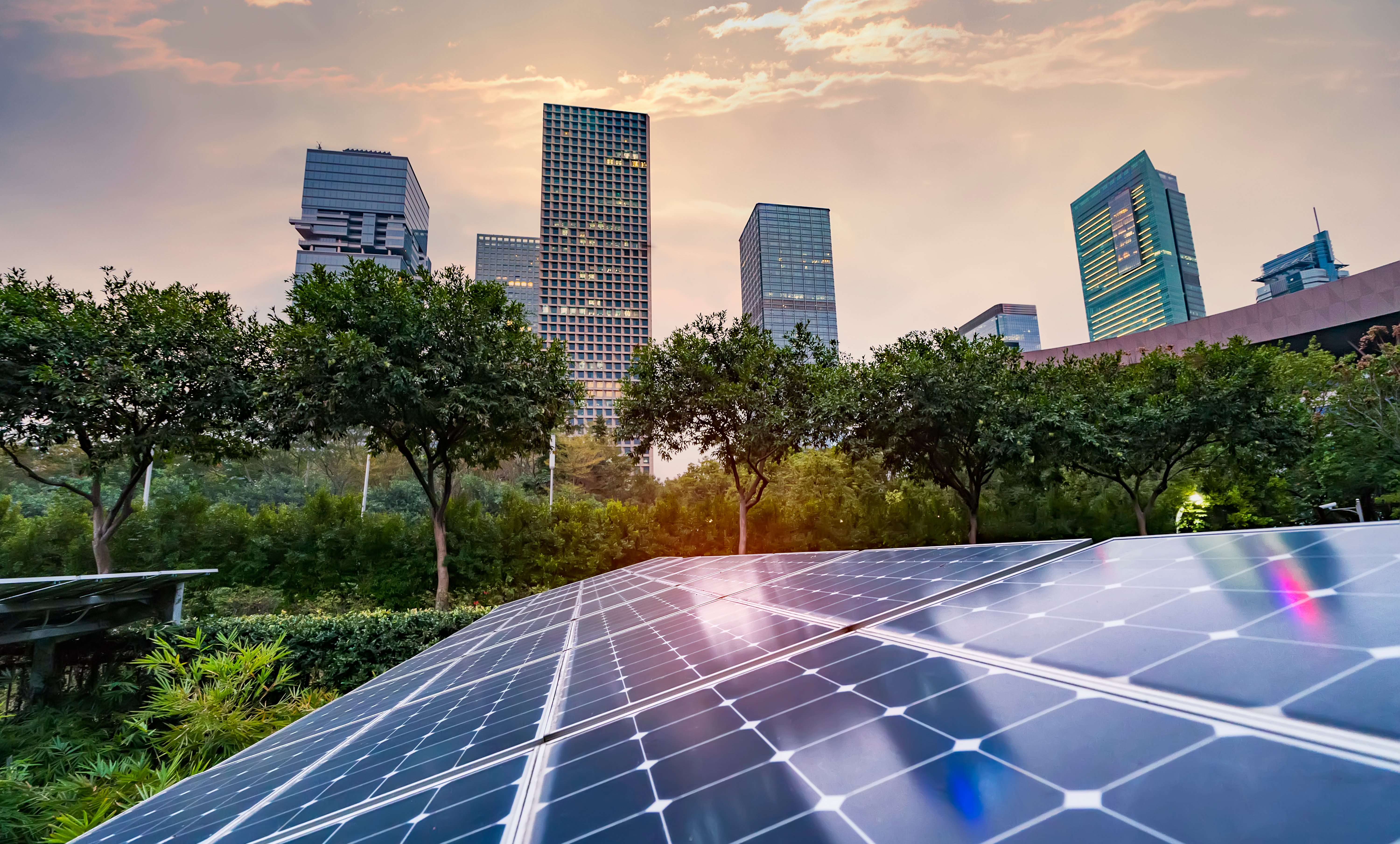 Building Decarbonization Coalition
